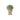 Large potted plant