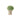 Small potted plant